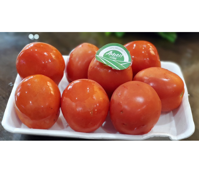 Cà chua tươi Ameii